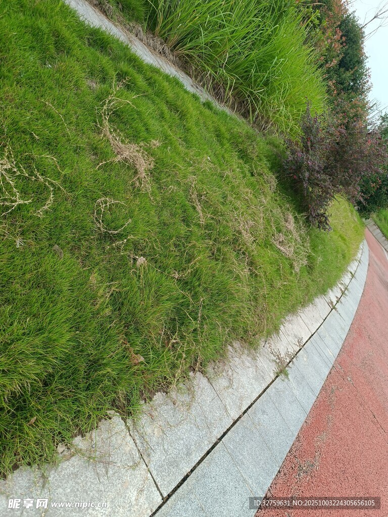 路边斜坡绿草与红色步道