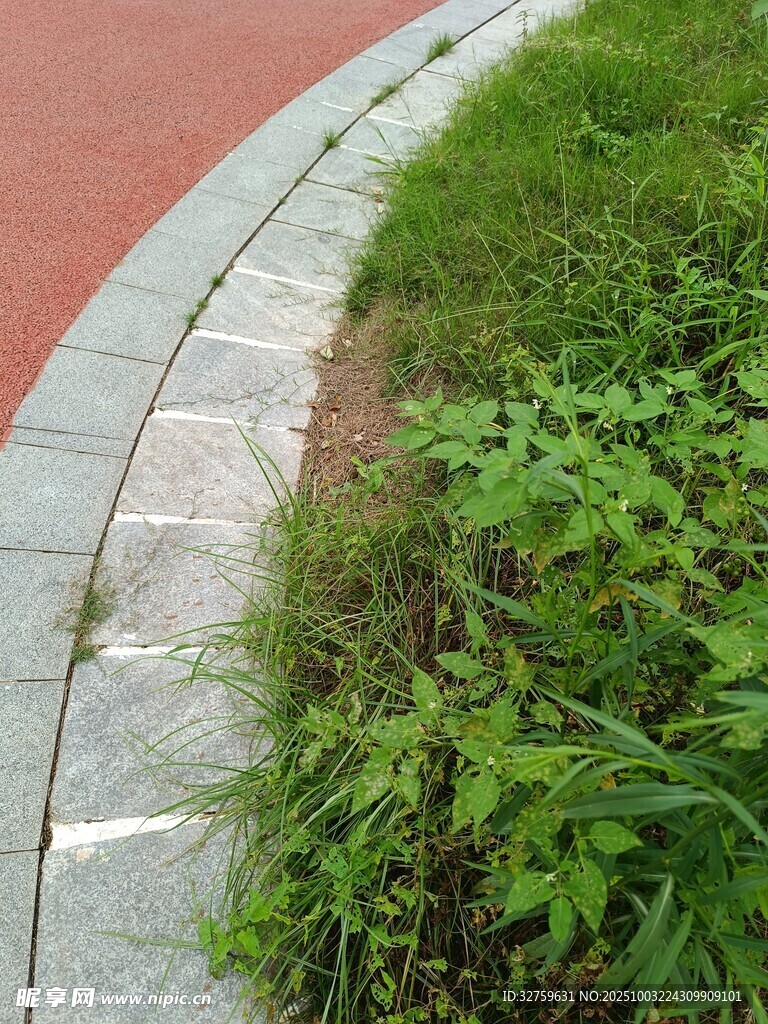 路边绿植与砖石步道景观