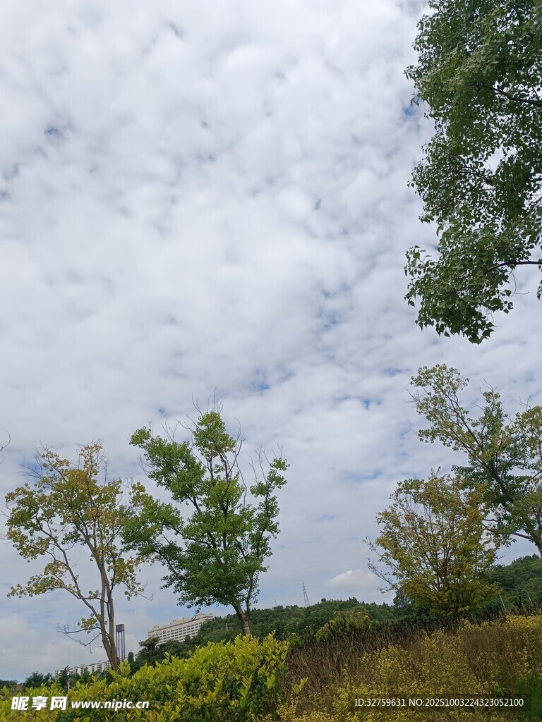 蓝天白云下的绿意景致