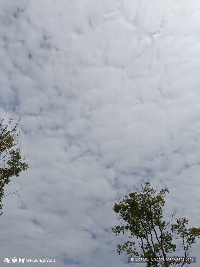 天空中密布的蓬松云朵