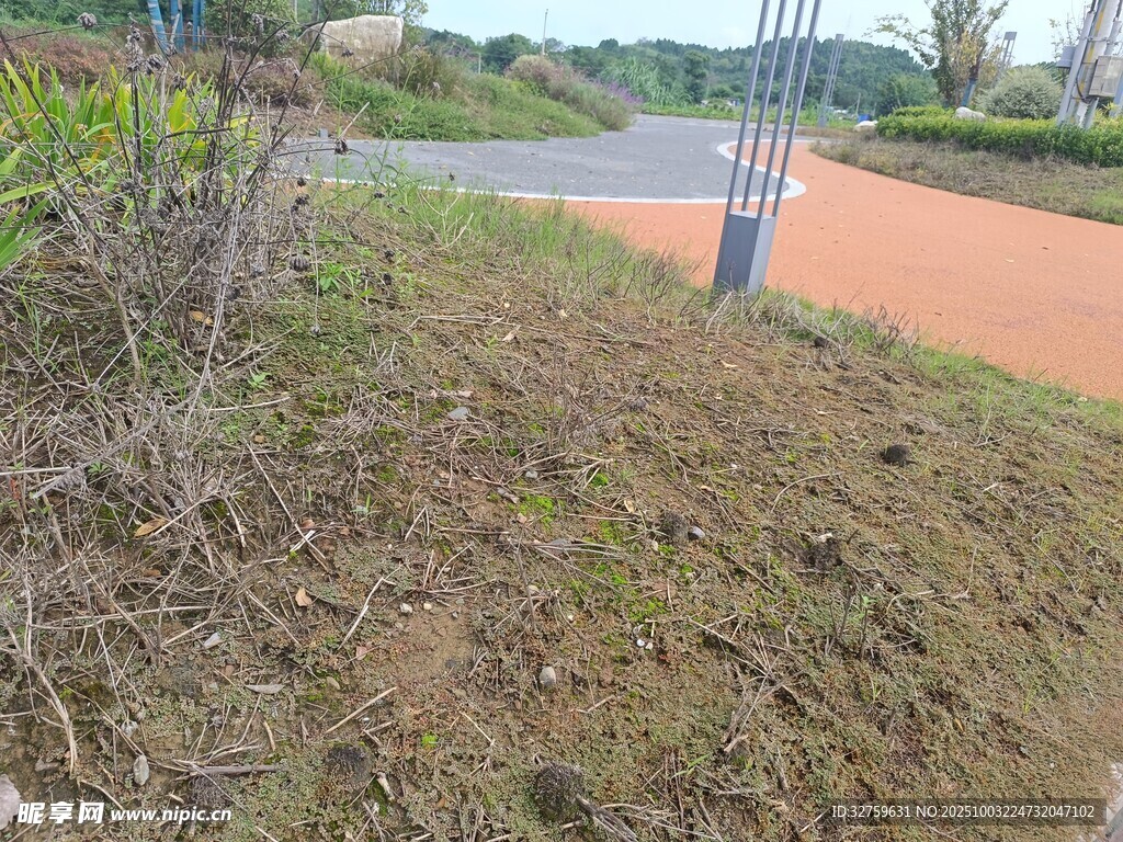 户外草地与步道景观