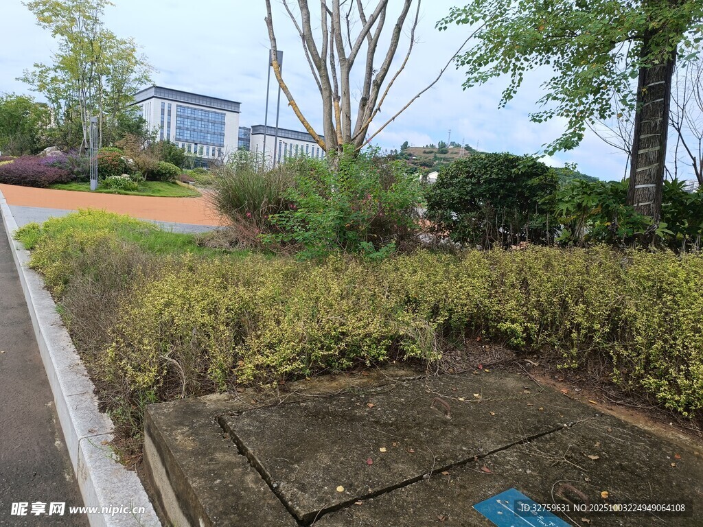 城市中的绿植景观一角