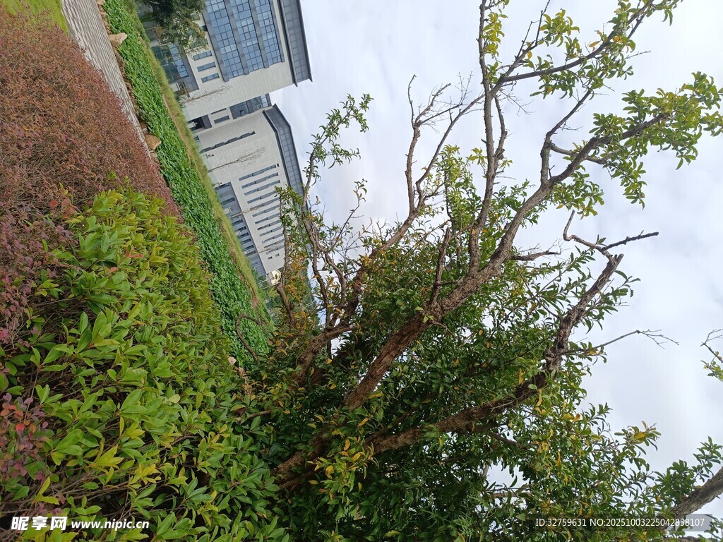 户外绿植与建筑景观