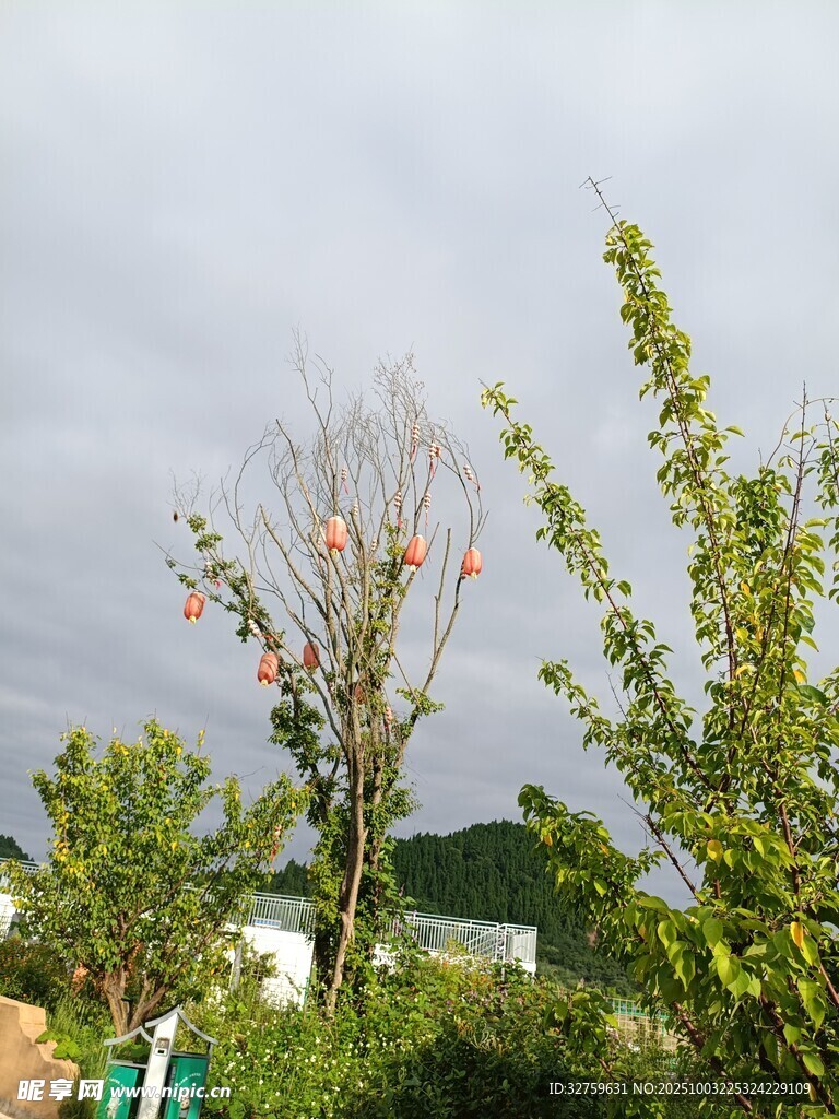 春日绿植与繁花景致