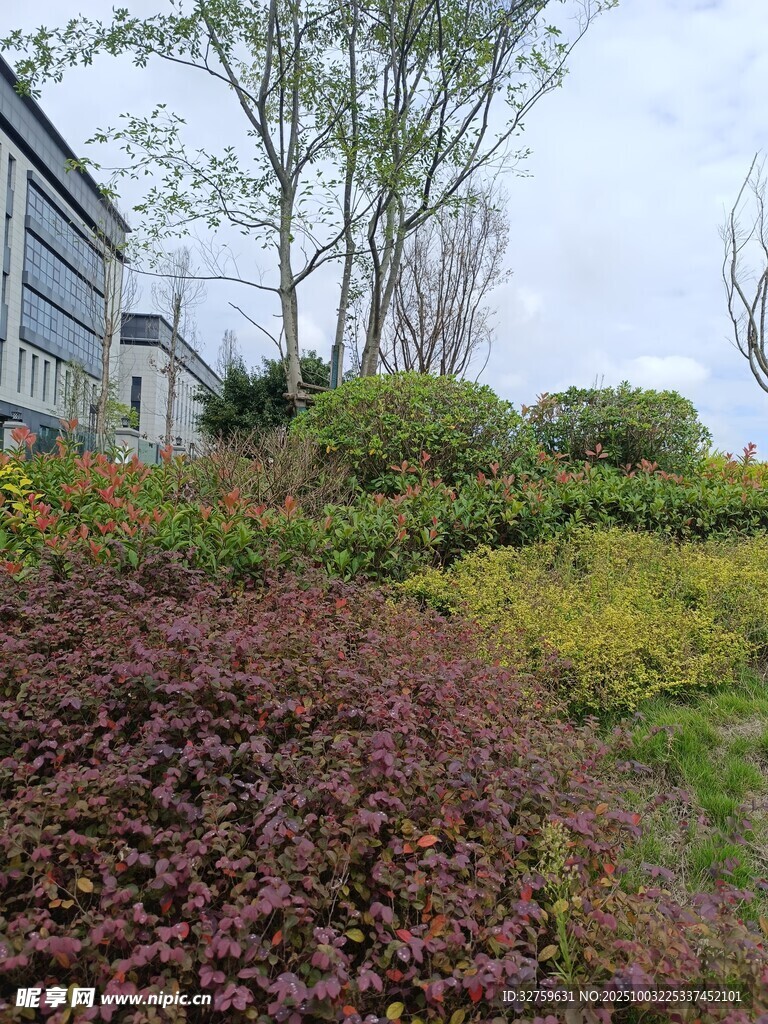 户外多彩植物景观
