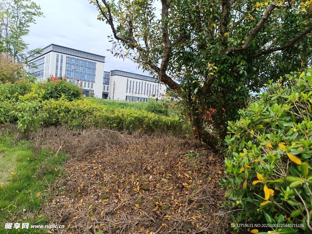 园区绿植环绕的现代建筑