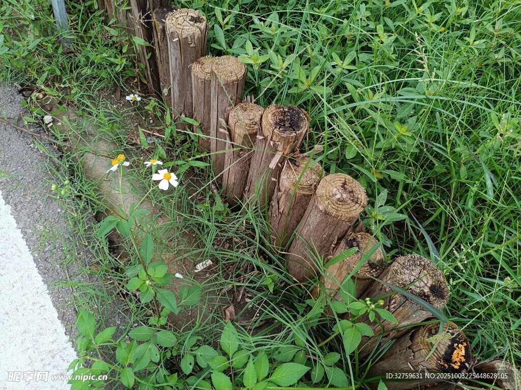 路边木桩围栏与繁茂绿植