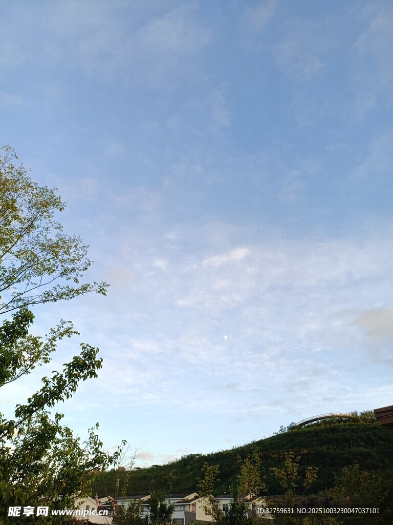 蓝天绿树间的自然景致