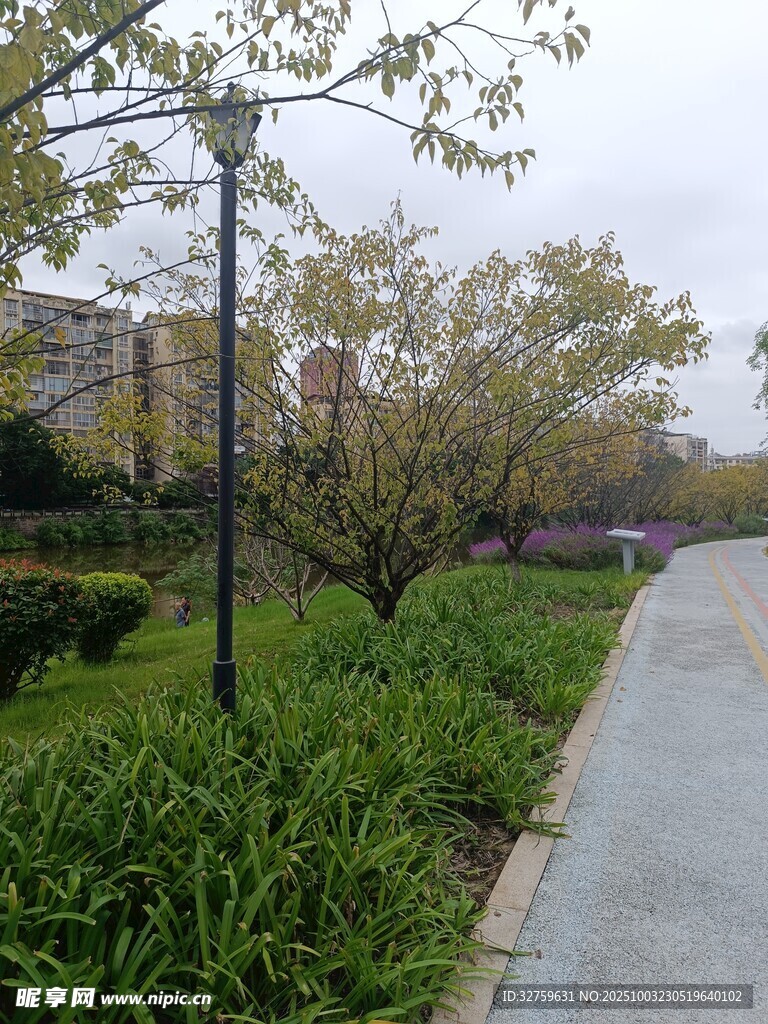 路边绿植景观