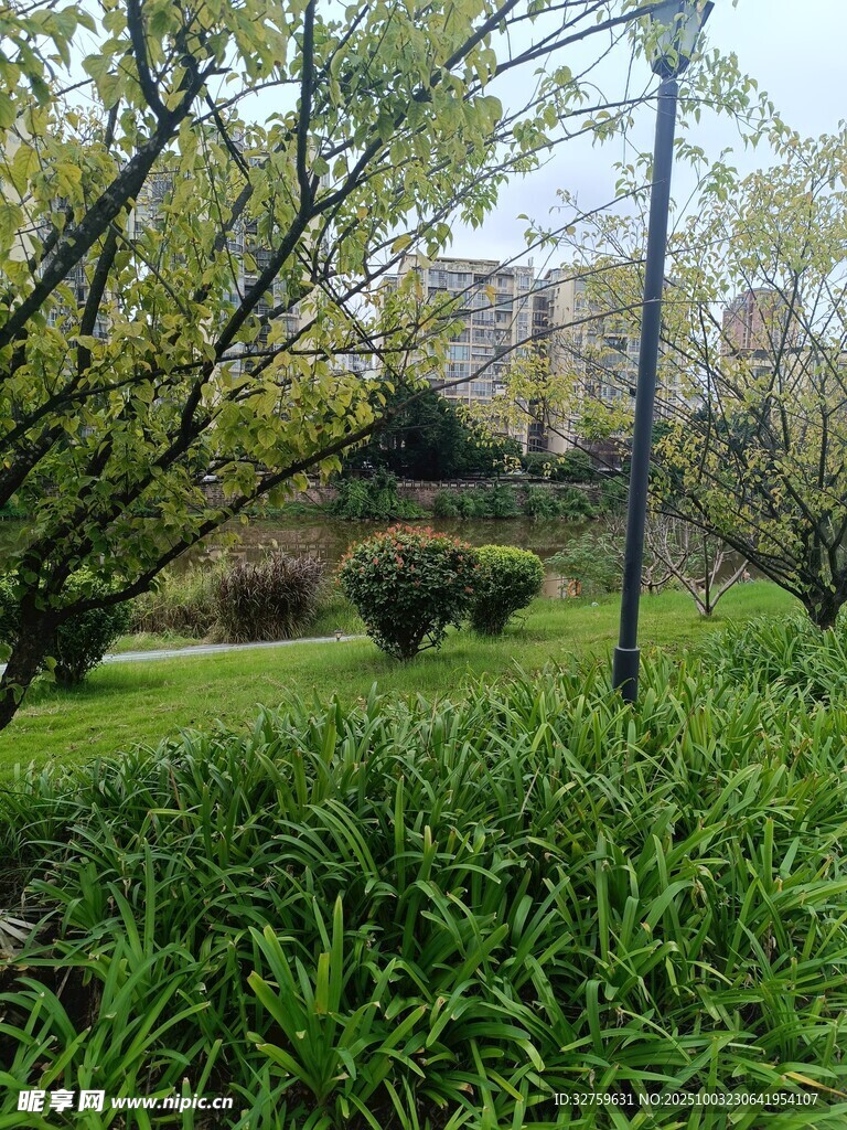 春日园林绿植景观