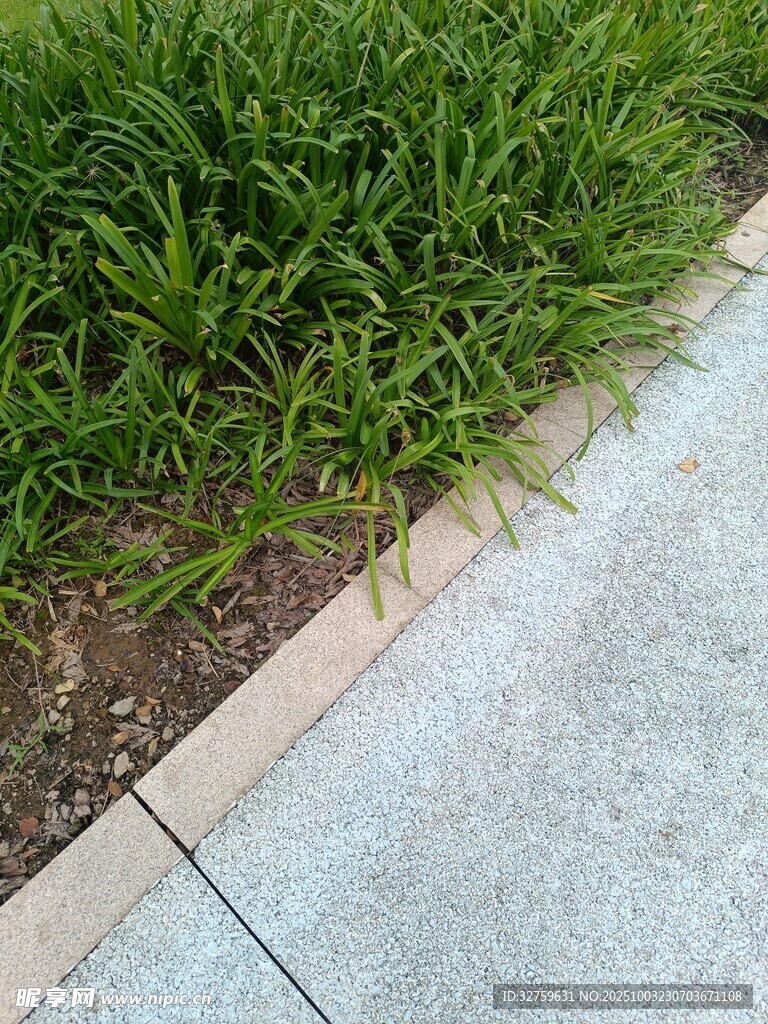 路边翠绿草坪与砖石边缘