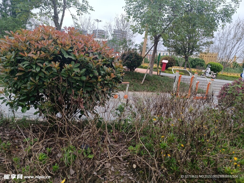 雨中朦胧的园林景观