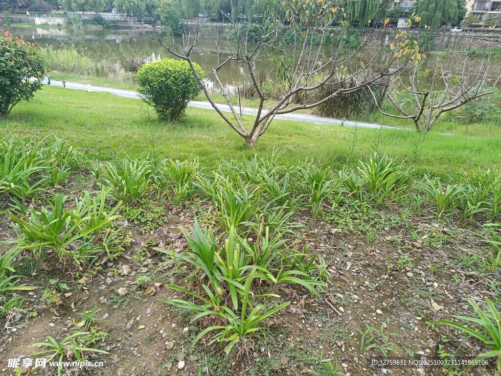 田园绿植景观
