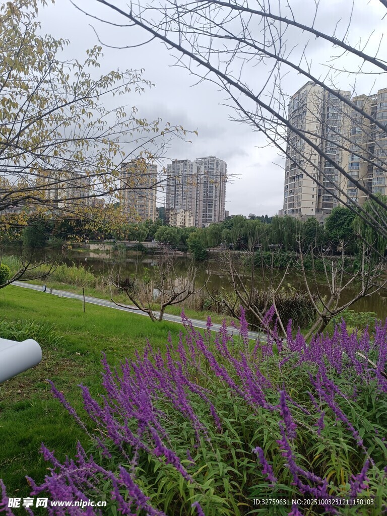 城市中美丽的花草景观