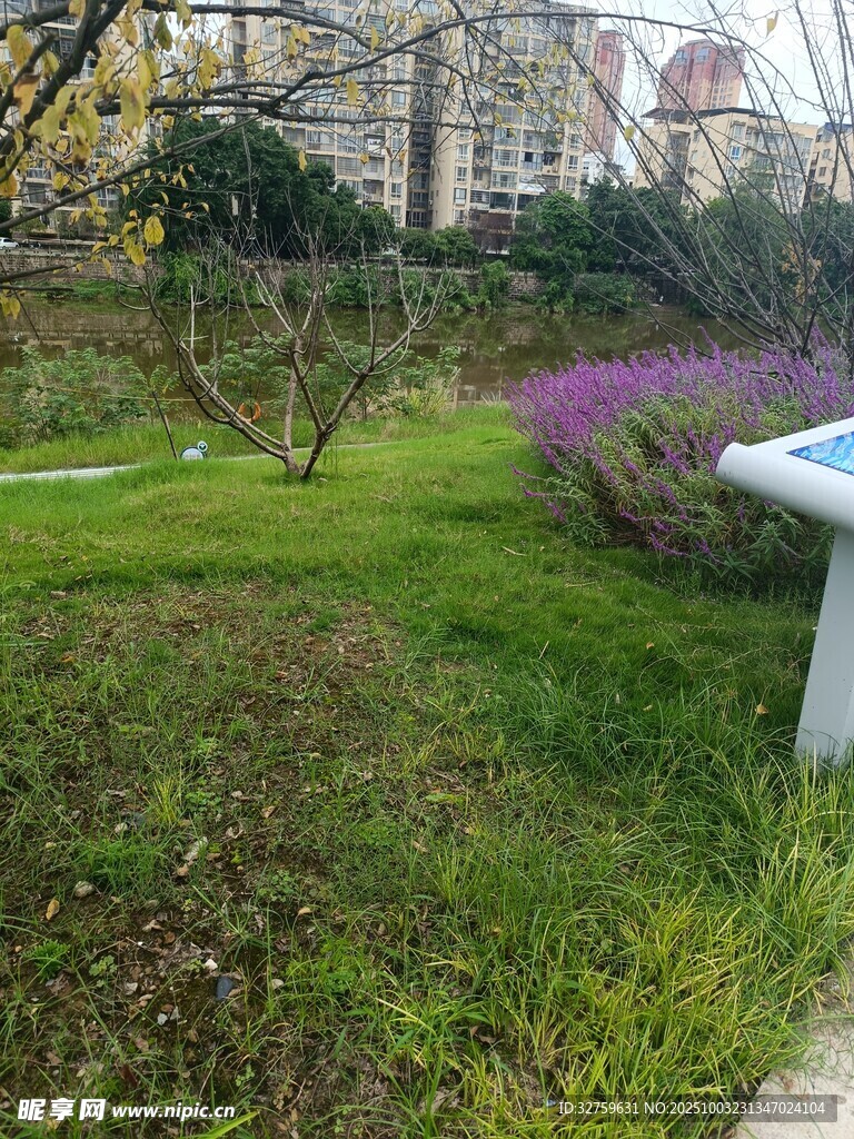 户外草坪景观