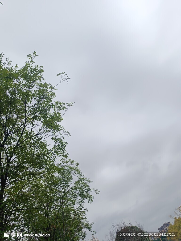 阴天中的绿树与远山