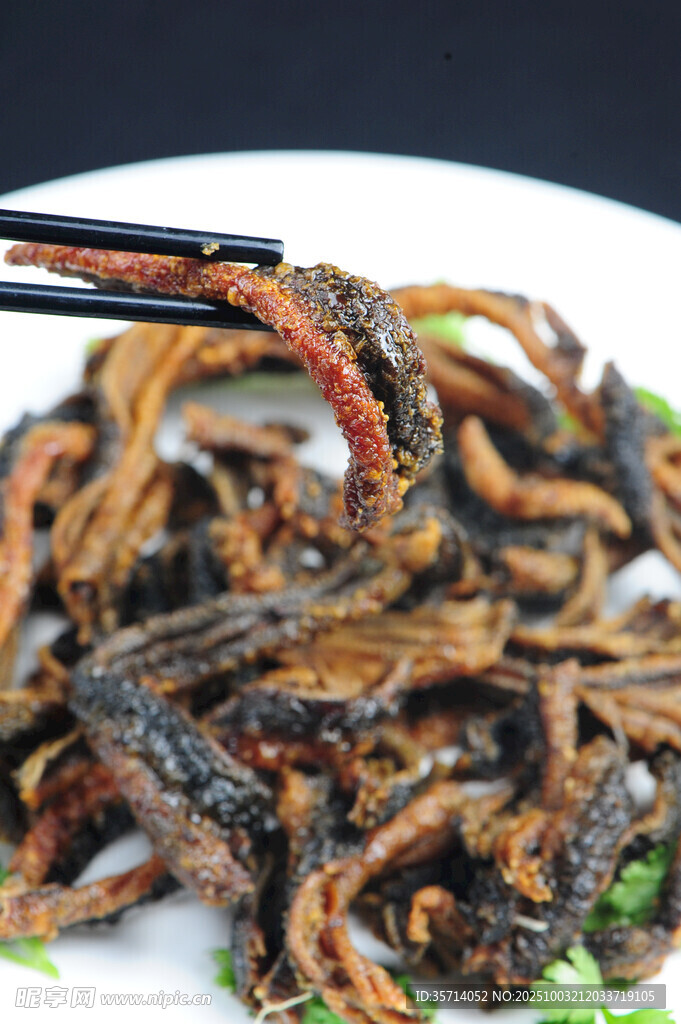 美味油炸昆虫摆于盘中