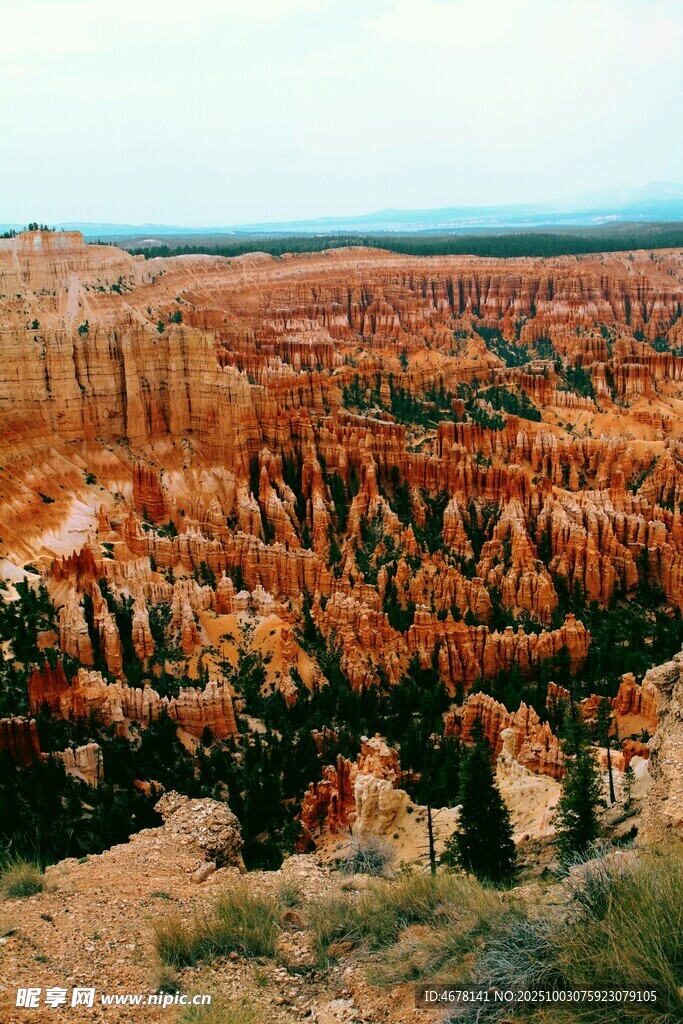 布莱斯峡谷壮丽红石景观