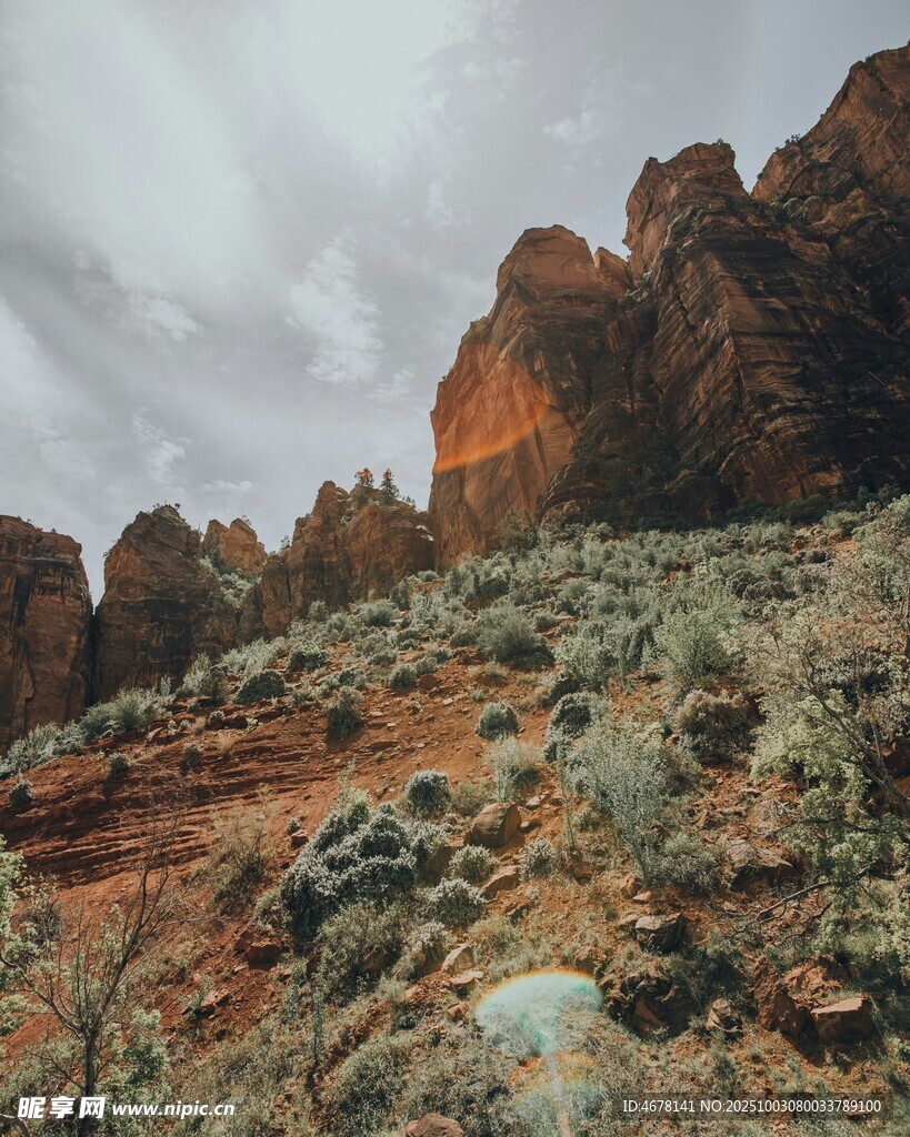 壮丽红岩与植被景观