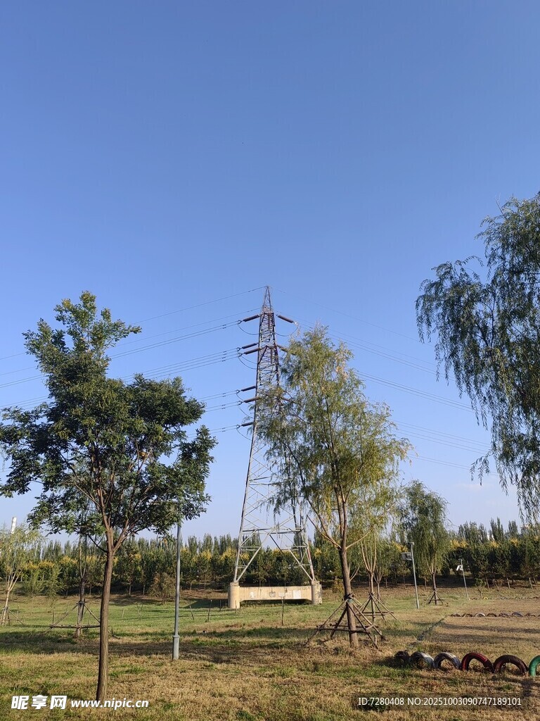 户外开阔绿地风景