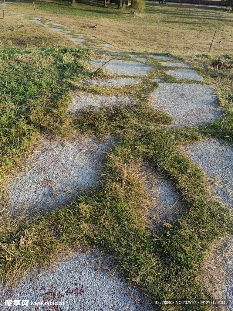 荒地上的斑驳水泥路面