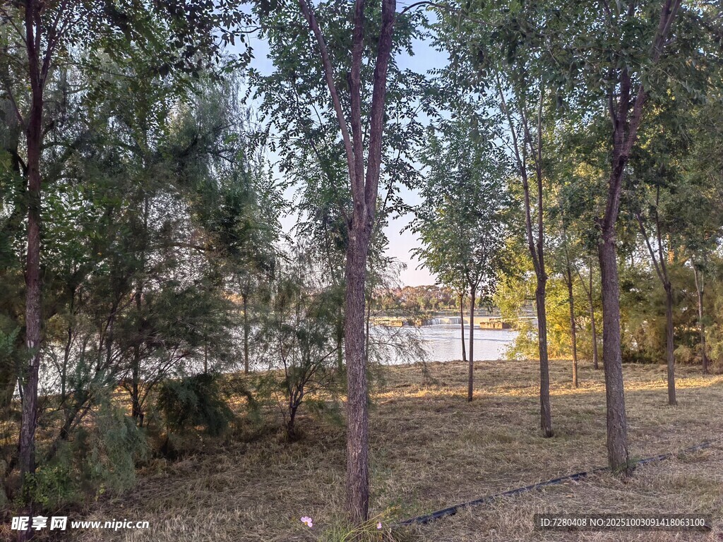 林间湖畔美景