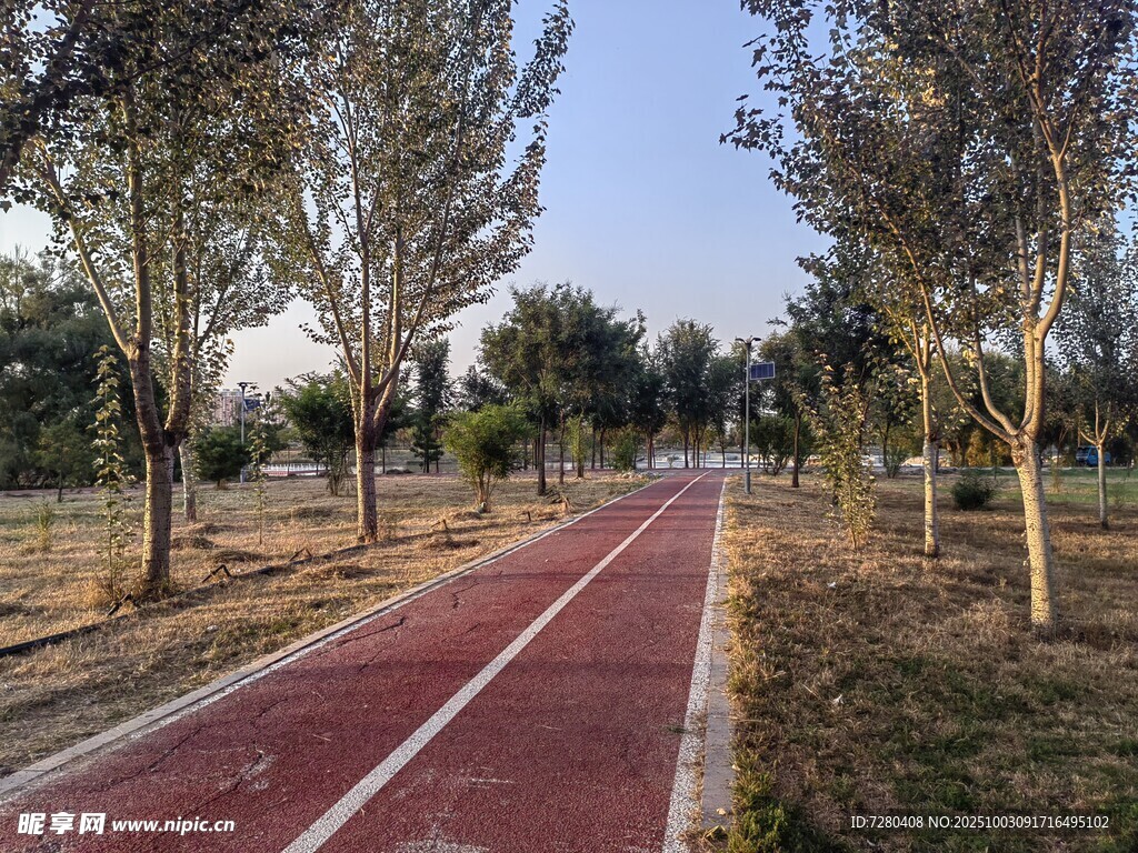 秋日林间红色健身步道