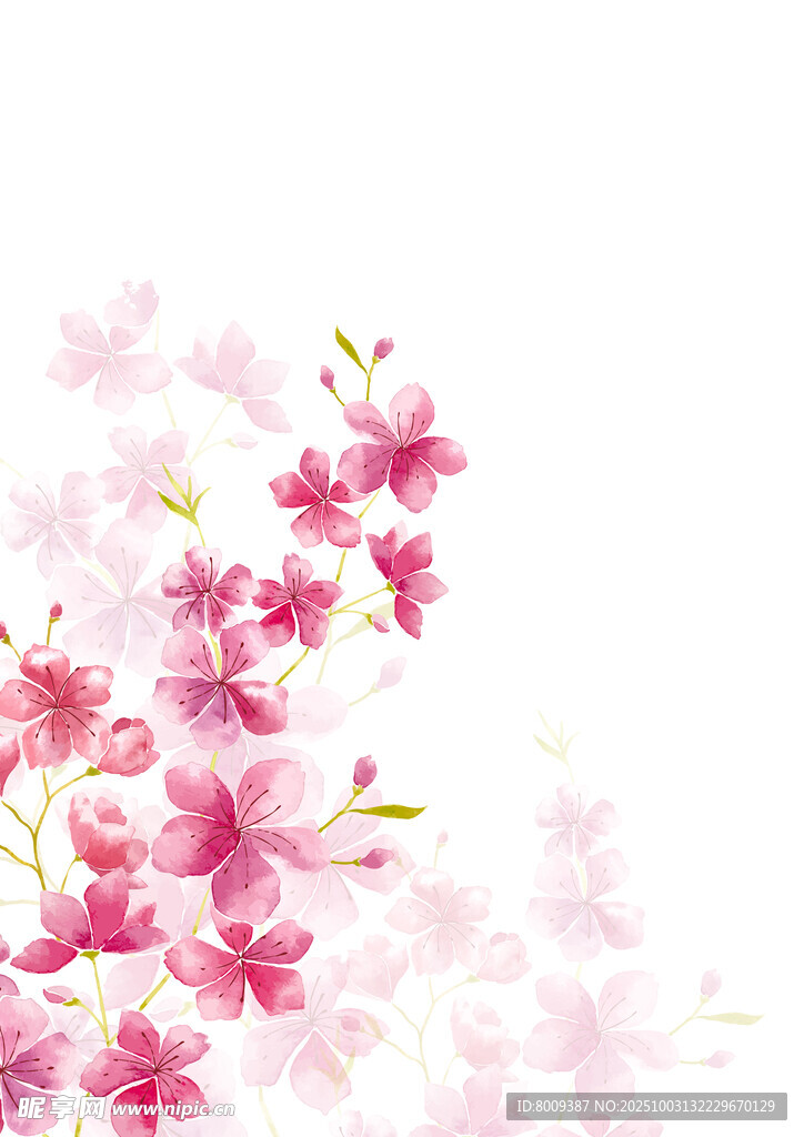 浪漫粉色樱花花卉背景图