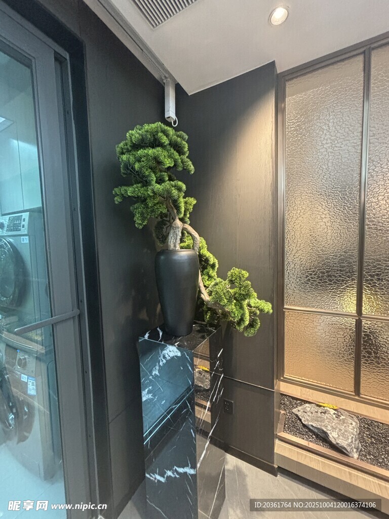室内角落绿植装饰景观