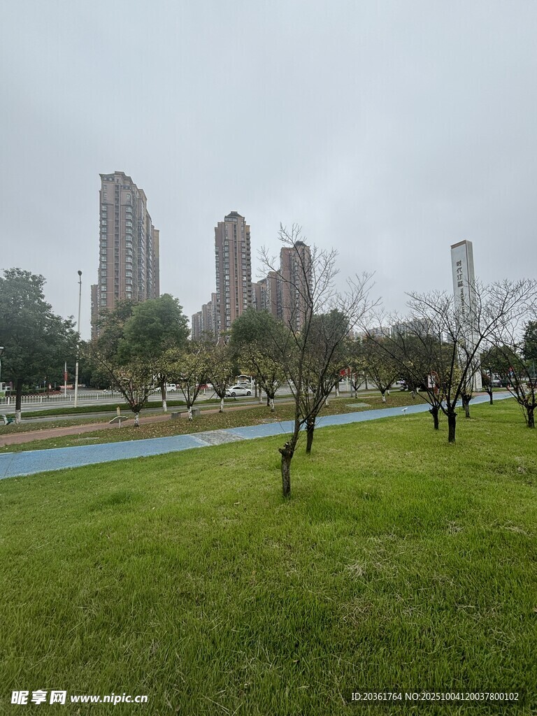 城市公园中的绿地与高楼