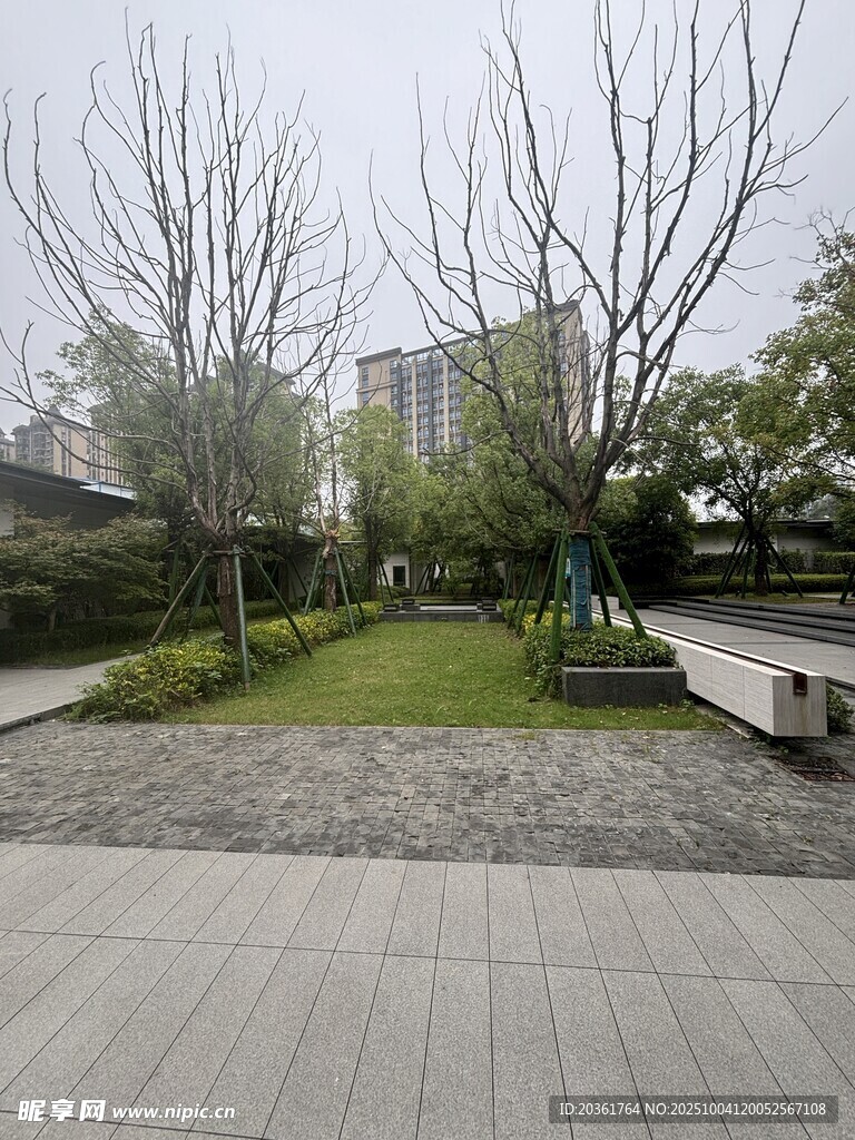 城市中的静谧绿化空间