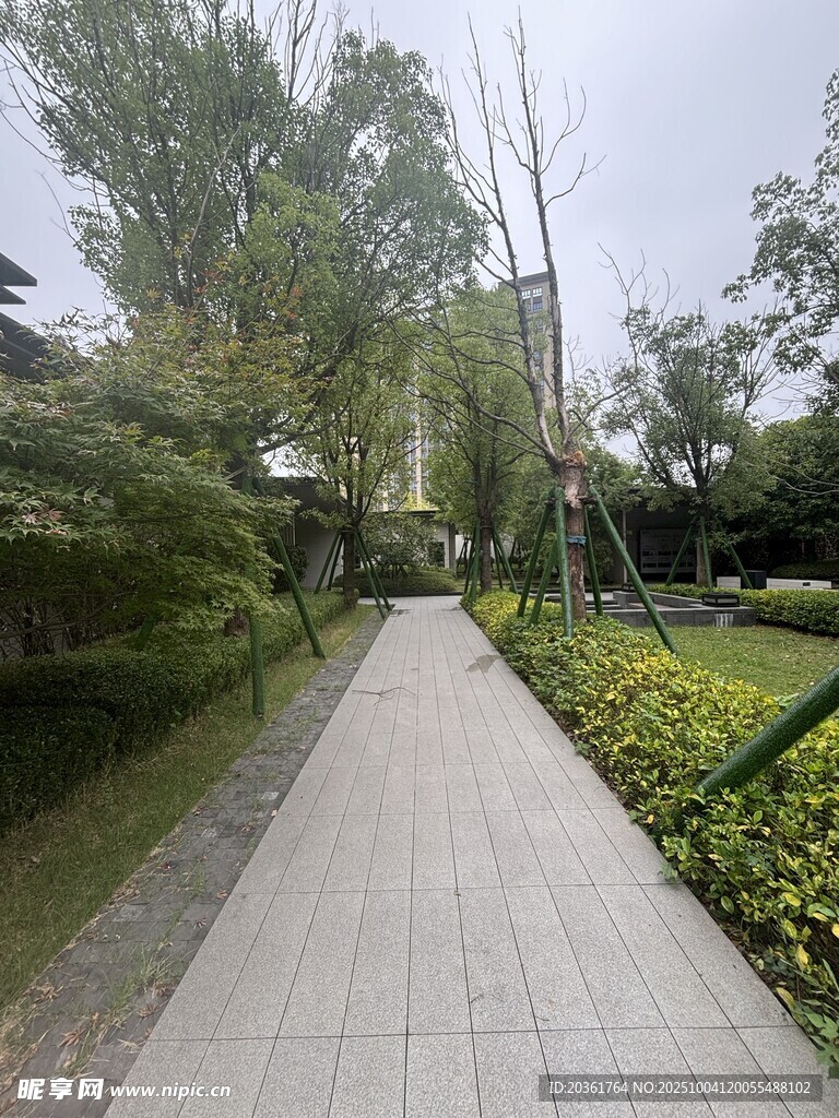 林间石板小径