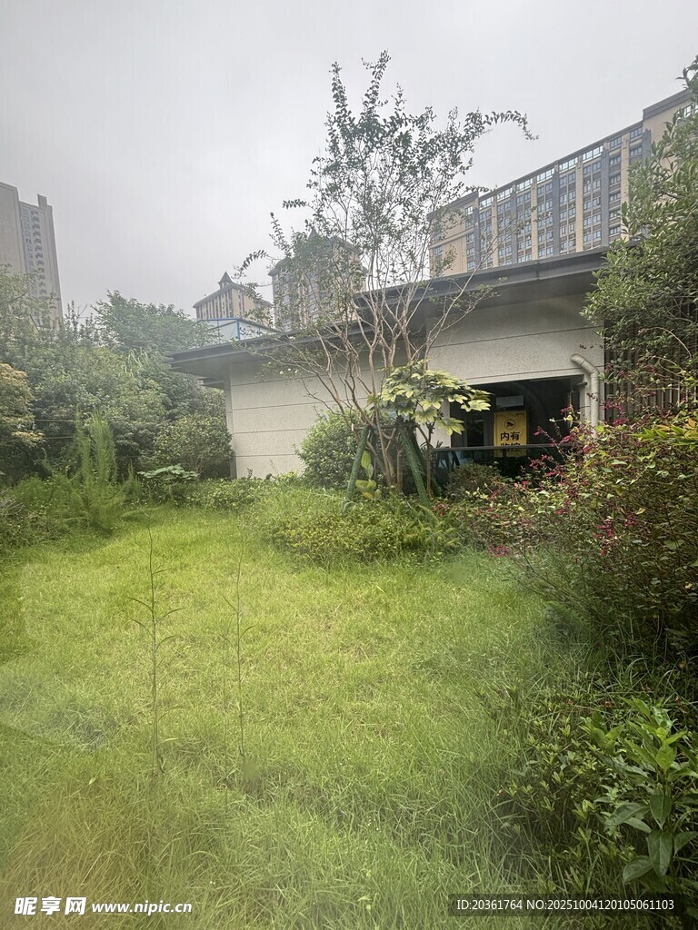荒废庭院