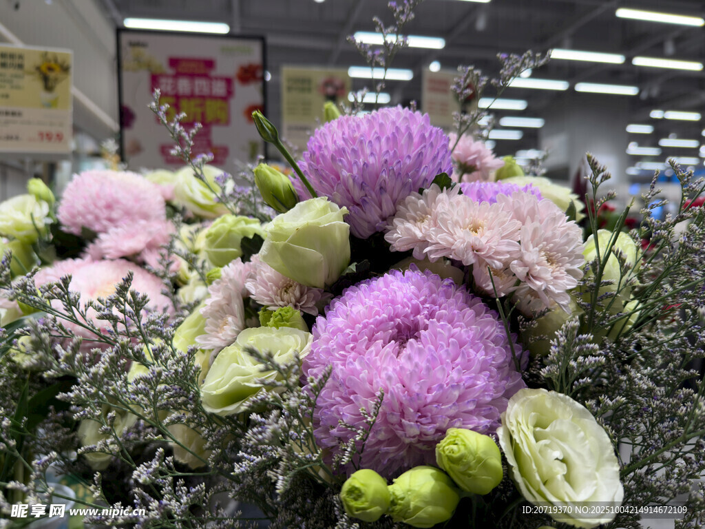 多彩花卉组合