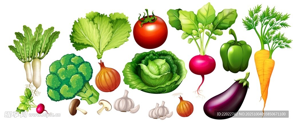 新鲜蔬菜插图