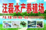水产养殖场宣传图