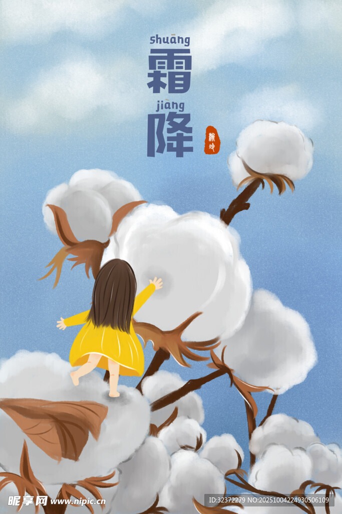 霜降时节棉花绽放景象