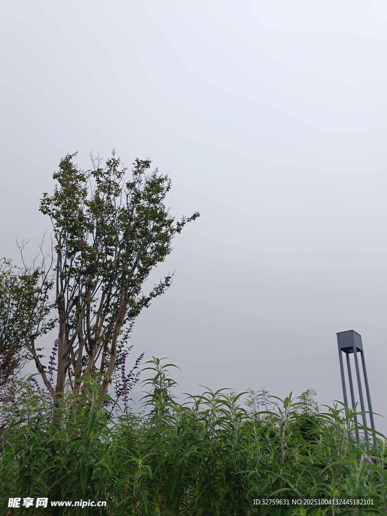 户外绿植与远处设施景观
