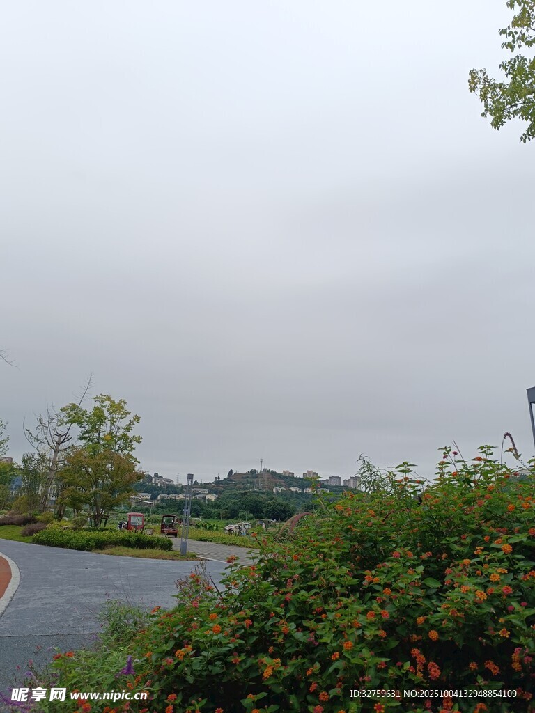 蜿蜒道路旁的绿植景观