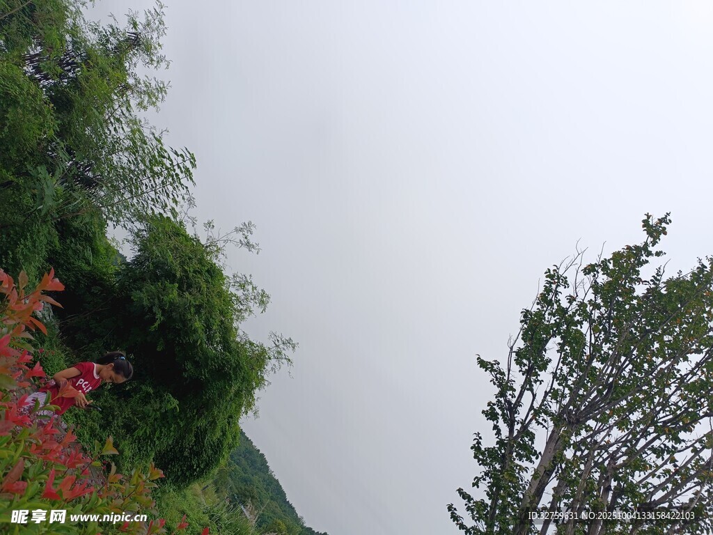 山林间多彩植被与天空