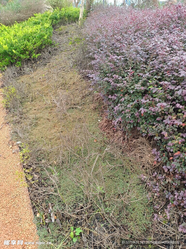 园林绿植景观一角