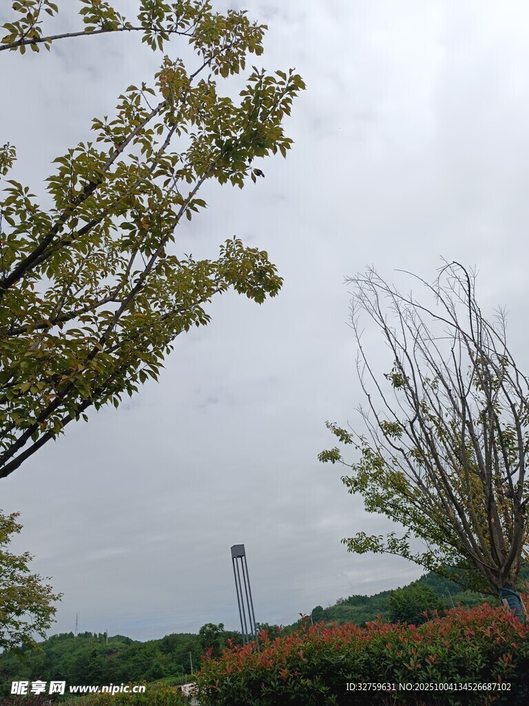 郊外树木与远处高塔景观