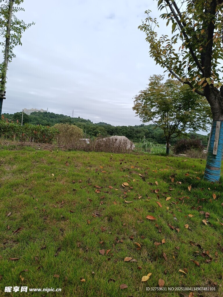 郊外绿意盎然的开阔草地