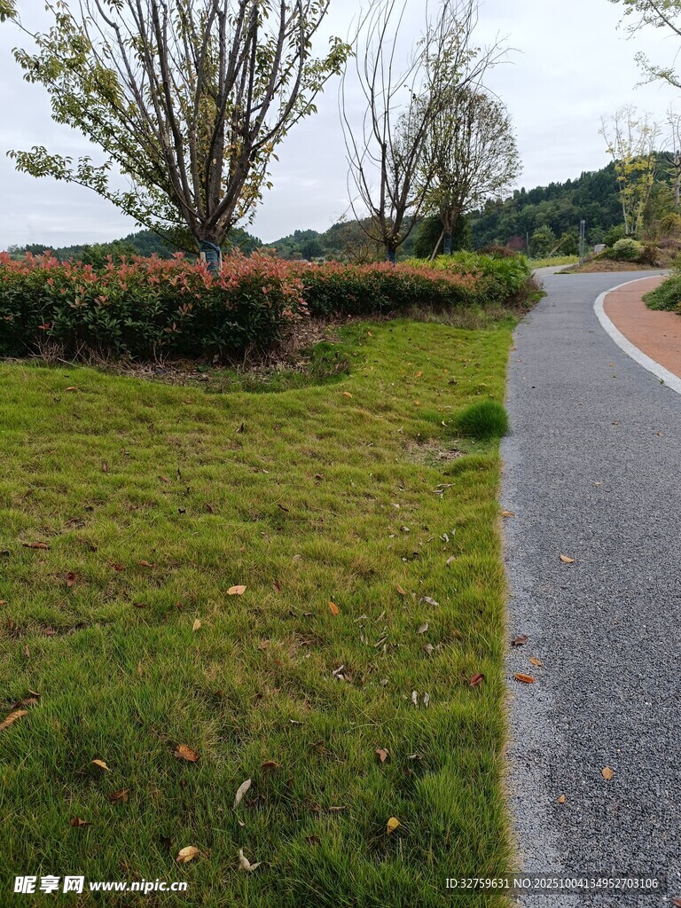 郊外蜿蜒小路旁的绿地
