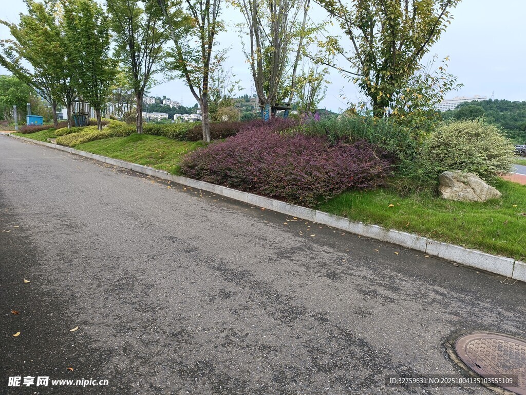 路边绿植景观