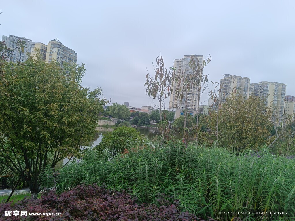 城市中的绿植景观