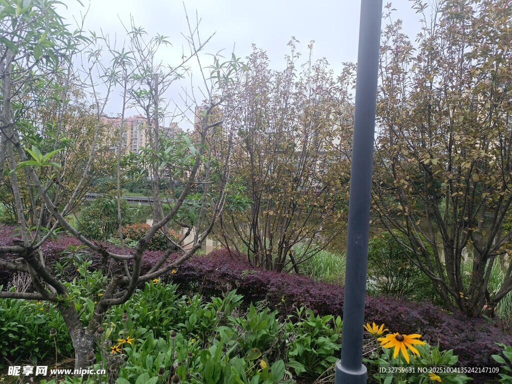 户外绿植景观