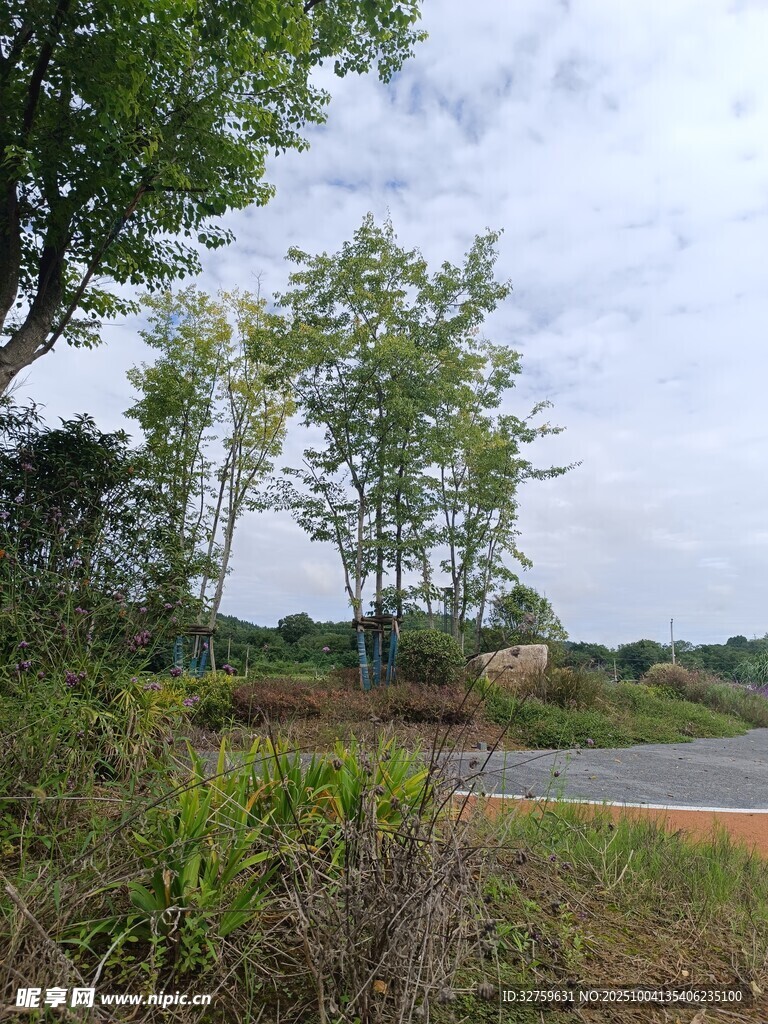 郊外清新自然景观