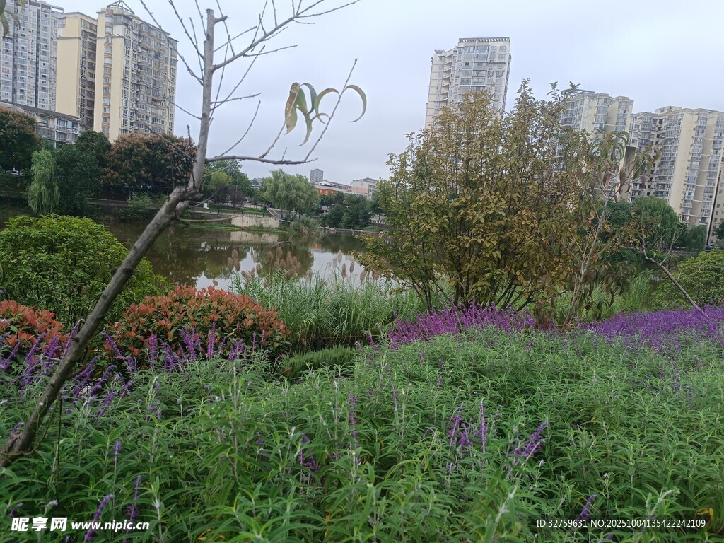 城市中的多彩花园景观