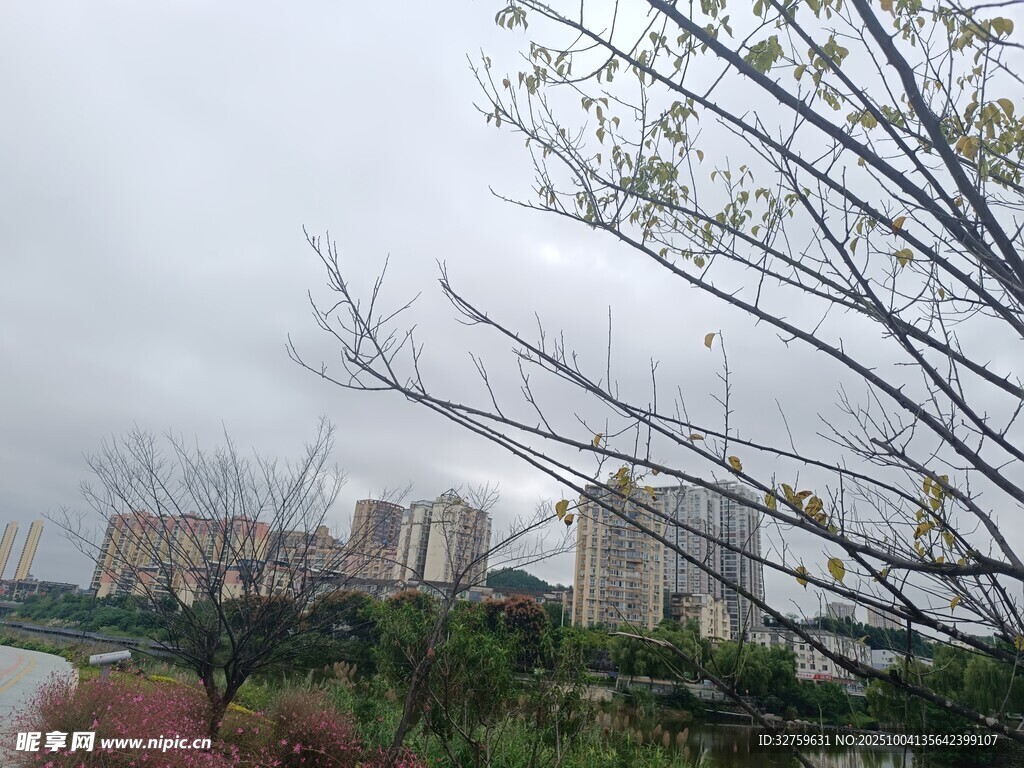 阴天城市旁的绿植景观